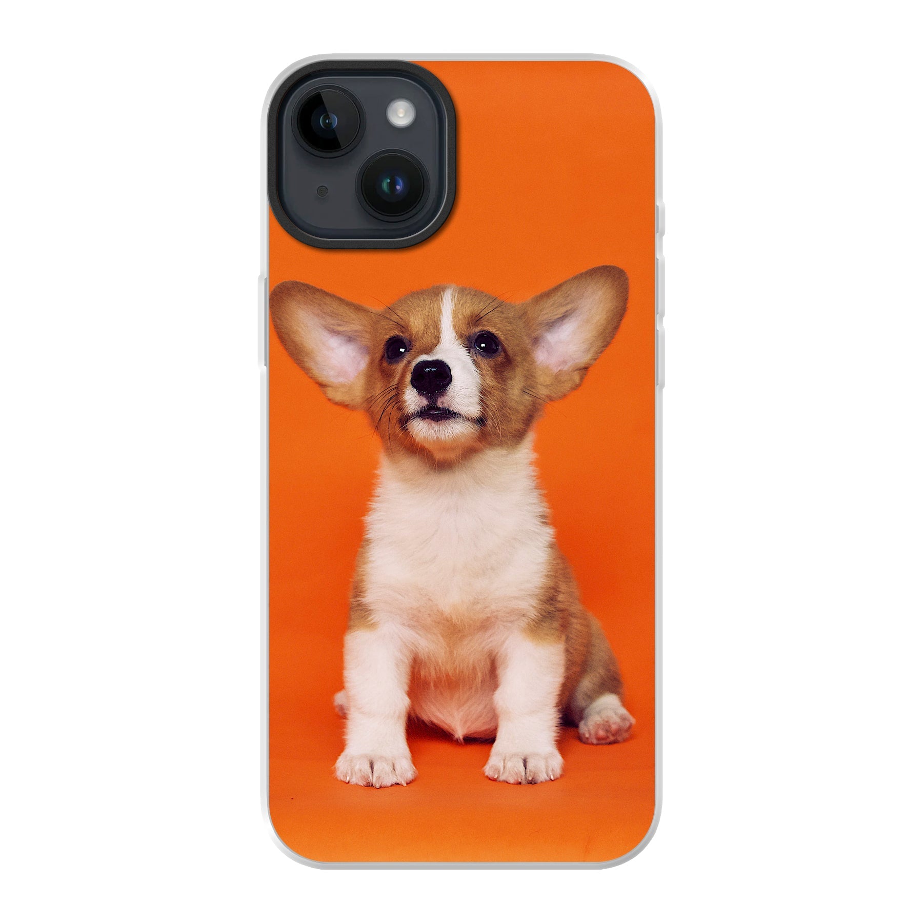 iPhone 14 / Plus / Pro / Pro Max
