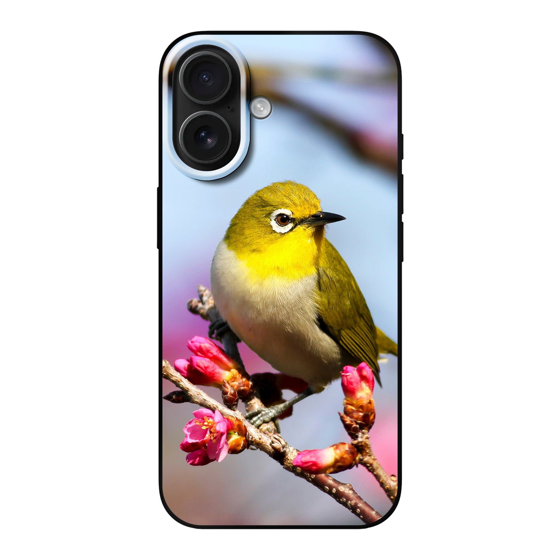 iPhone 16 / Plus / Pro / Pro Max