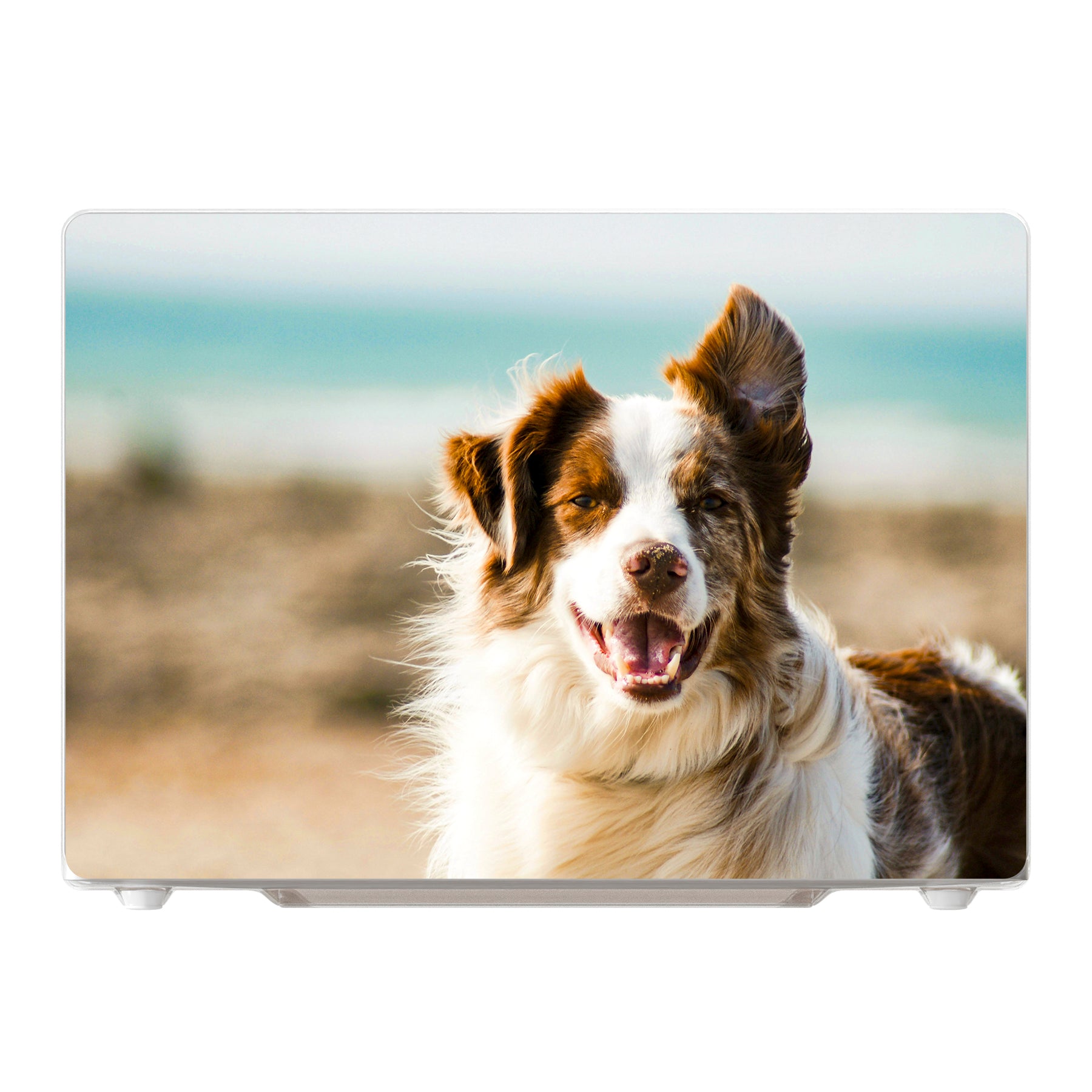 MacBook Pro 16-inch M1 / M2 / M3 / M4 (2021 - 2024) Harde hoes (voorzijde bedrukt, transparant)