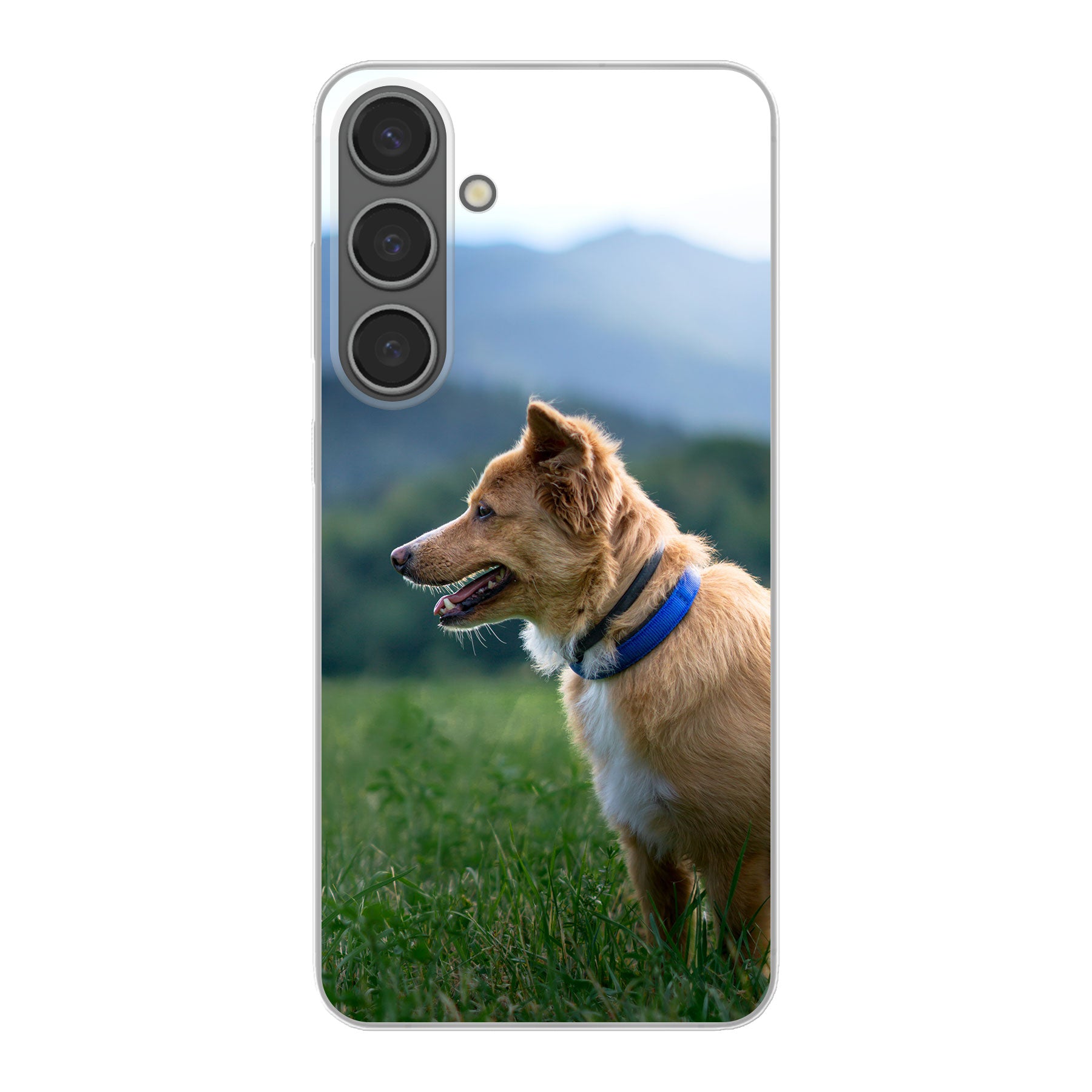 Samsung Galaxy S24 Plus Hardcase (achterkant bedrukt, transparant)
