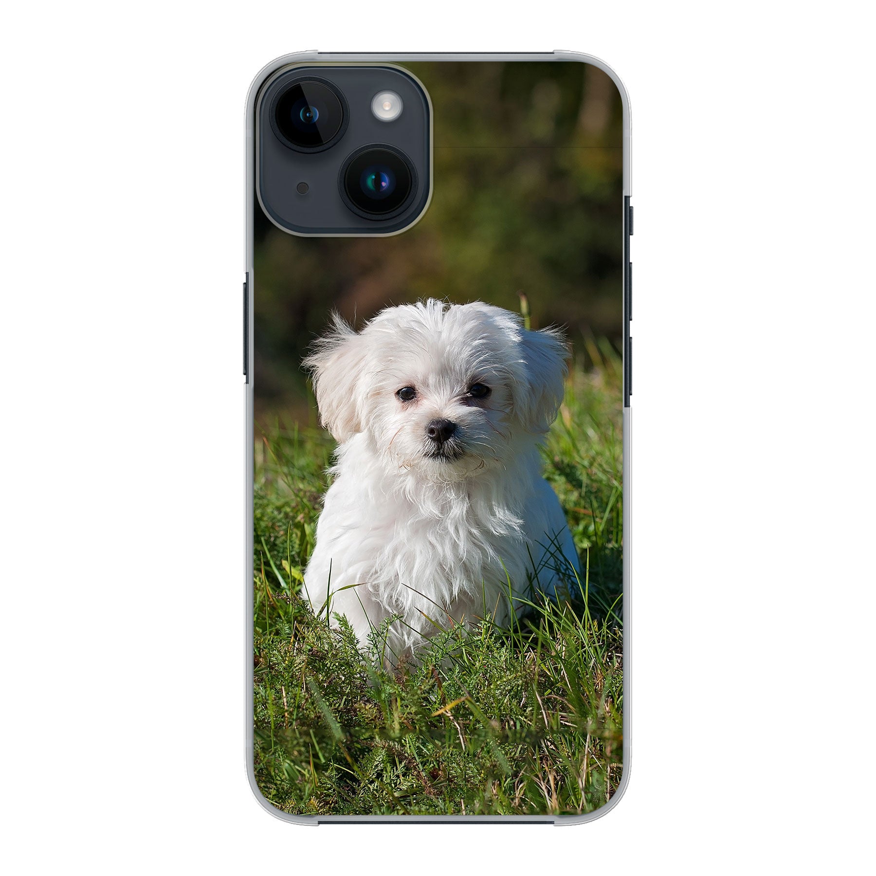Apple iPhone 14 Hardcase (achterkant bedrukt, transparant)