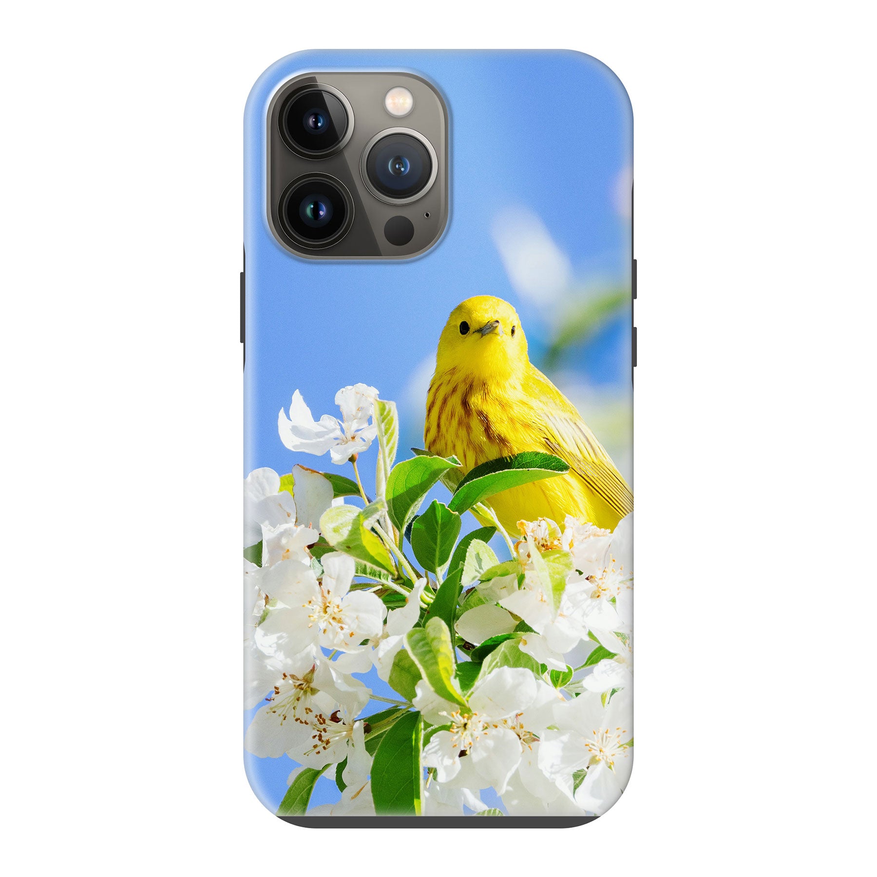 Apple iPhone 13 Pro Max Tough case (volledig bedrukt, zwarte inzet)