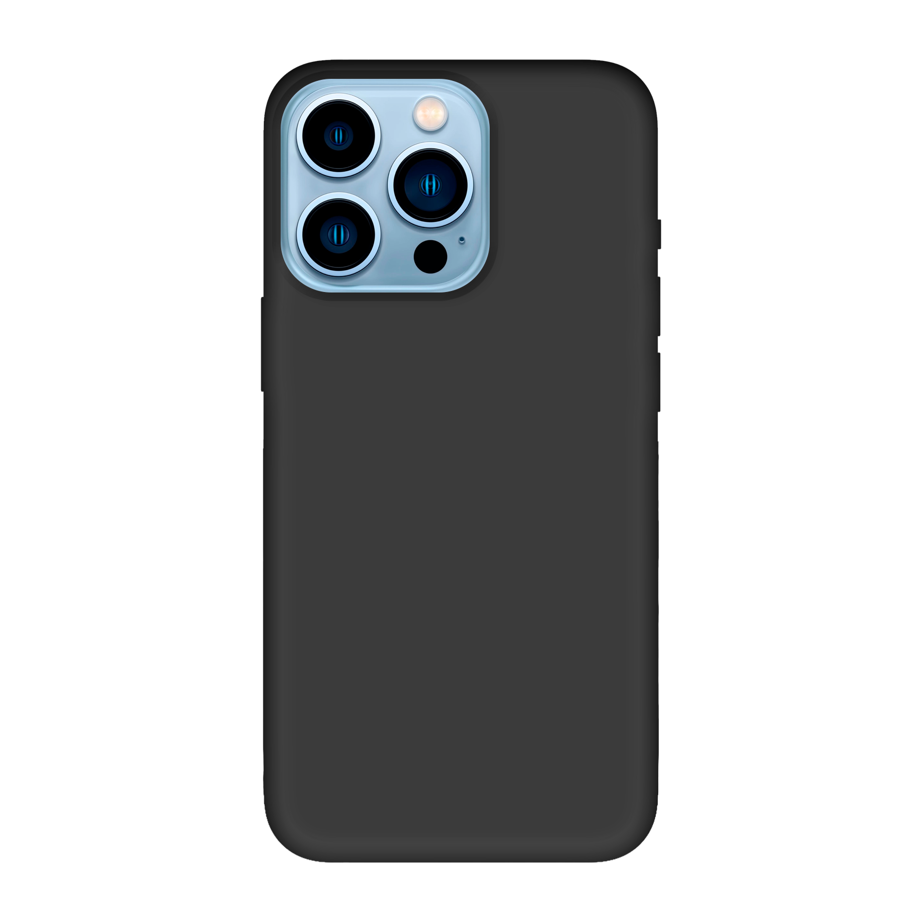 Apple iPhone 13 Pro Biologisch afbreekbaar hoesje (achterkant bedrukt, zwart)