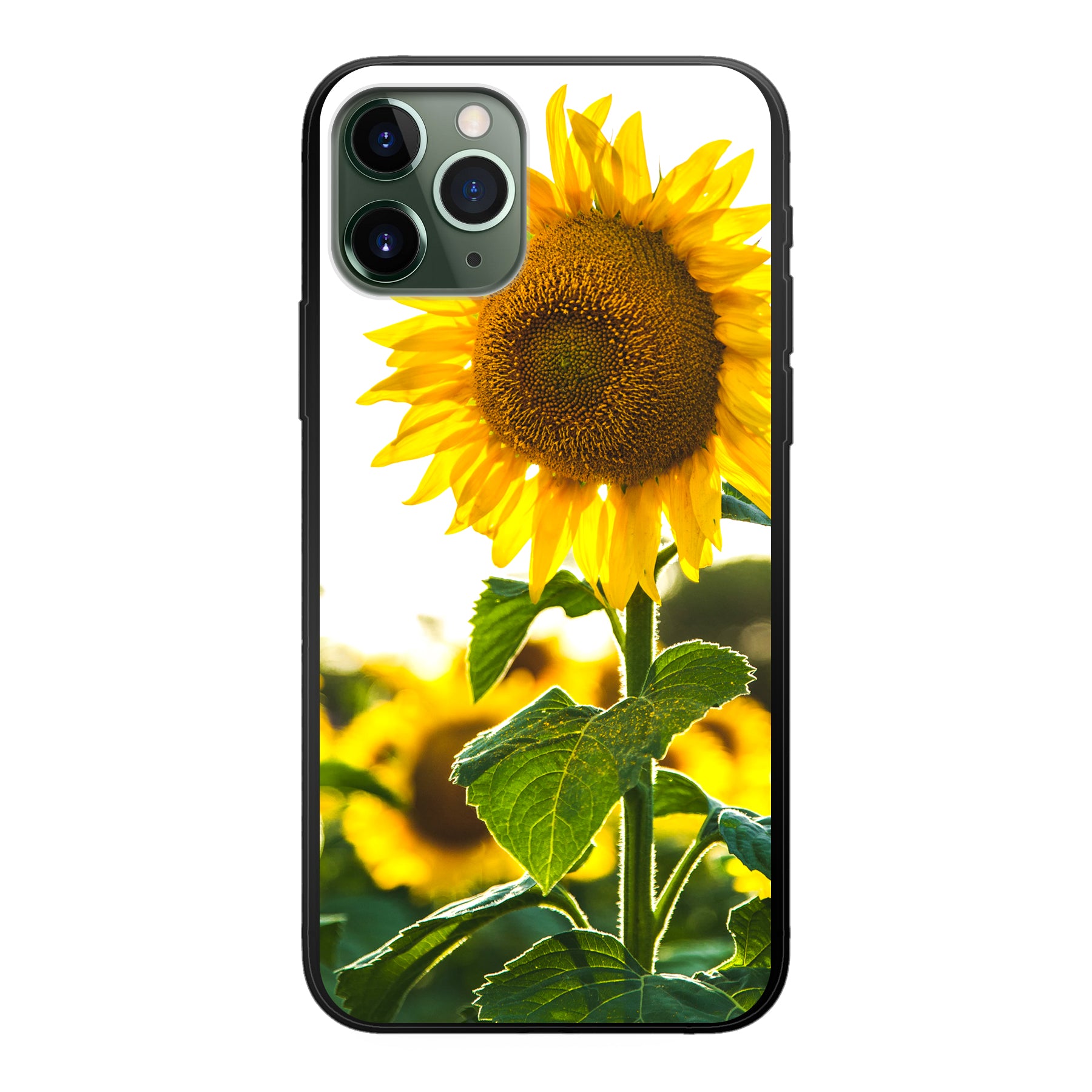 Apple iPhone 11 Pro Zachte hoes (achterkant bedrukt, zwart)